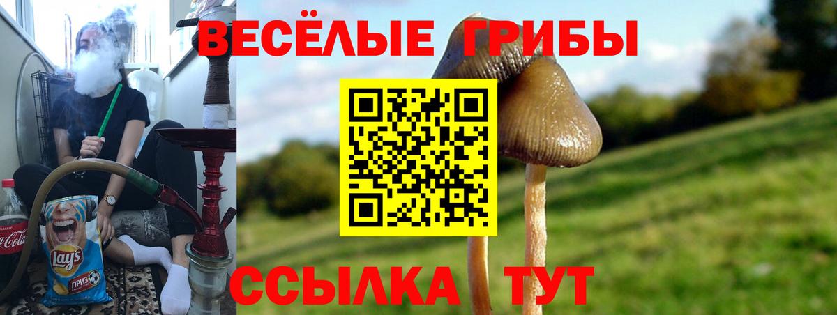 Галлюциногенные грибы Magic Shrooms  Вход с VPN  Астрахань 